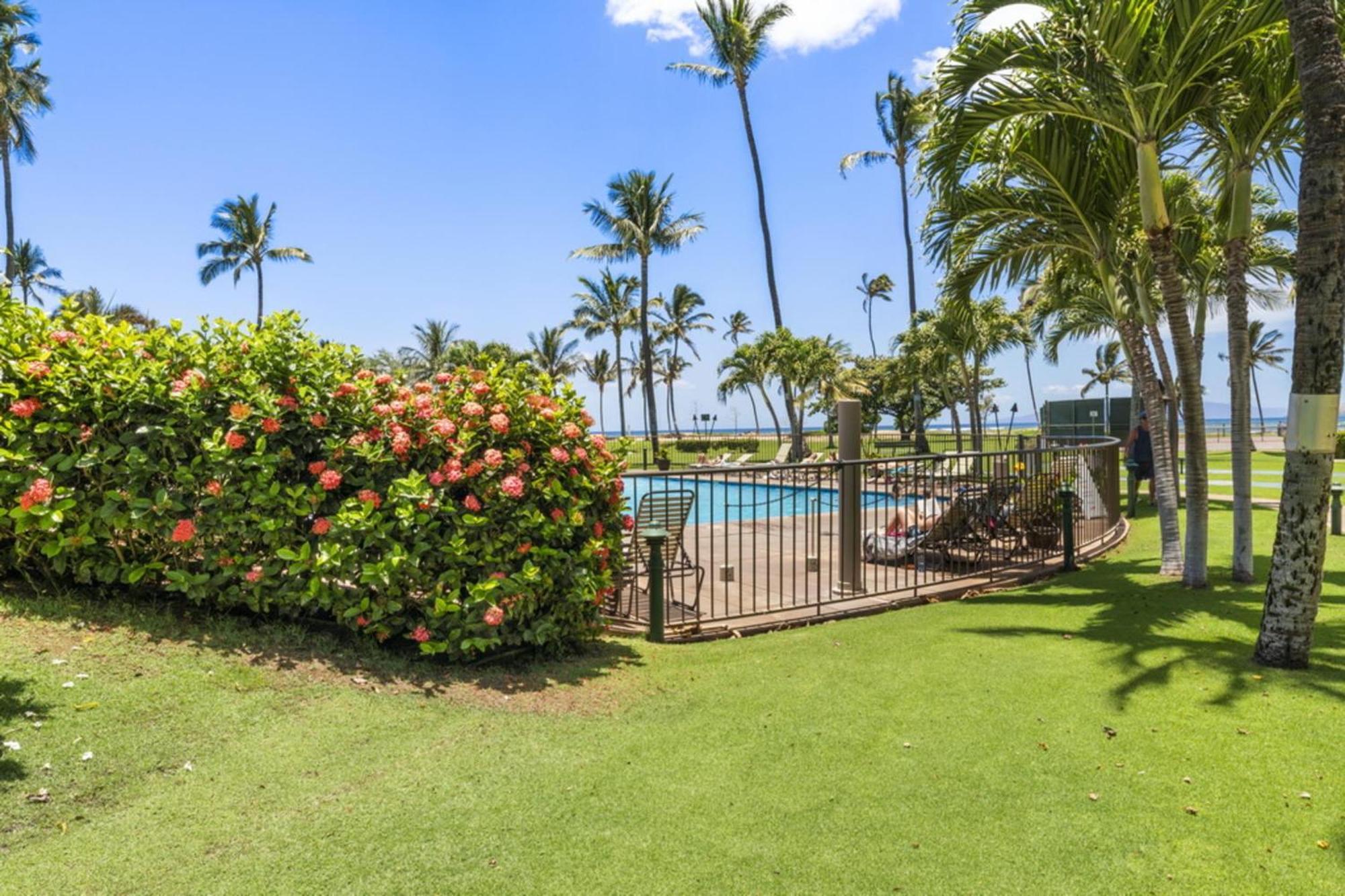 Maui Sunset A513 By Betterstay Kihei Exterior foto